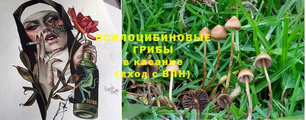 синтетический гашиш Абдулино