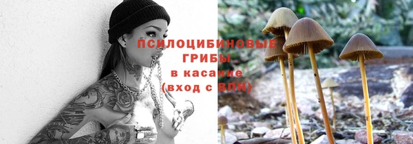 мескалин Абаза