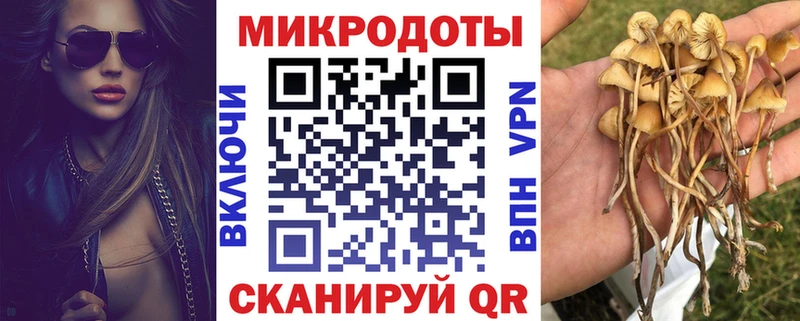 наркошоп  Ачхой-Мартан  Галлюциногенные грибы Psilocybine cubensis 